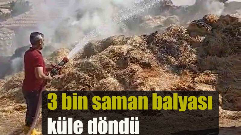 3 bin saman balyası küle döndü